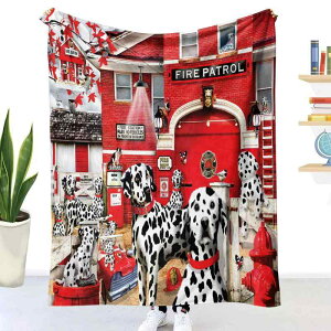 ѕz tl uPbg |GXe  d\ 3Dvg  ~p g  _炩G ӂӂ  Q Ђ| \t@Jo[