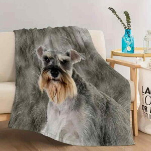 uPbg ѕz tl |GXe 3D ViEU[ Aj}vg \t@Jo[ Ђ| Q ItBX xbh Lv s AEghA h g K