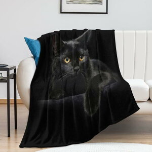 uPbg ѕz |GXe tl _炩 ӂӂ ۉ  I[V[Y xbh \t@ ֎q }`Jo[ Ђ| _ Vv