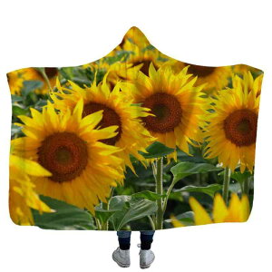 ѕz LbY qp t[ht |` P[v q} ԕ  |GXe tl VRbg |[[t[X K ۉ _uC[ \t@ ItBX Q  