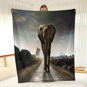 ѕz uPbg ]E tl 3Dvg ̕ GAR΍ [΍ Q Q ItBX \t@Jo[ H~ g ۉ I[V[Y G ӂӂ y @