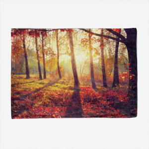 ѕz uPbg Ri X tl |GXe ۉ g y _炩 ӂӂ GK I[V[Y [΍ Qp ItBX rO Q Ԓ AEghA X