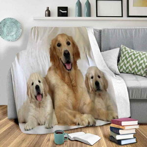 �u�����P�b�g �y�b�g���� ���킢�� 3D�v�����g ��w�t�����l�� �|���G�X�e�� �ӂ�ӂ� �g���� �����Q �Ђ��|�� �\�t�@�J�o�[ �G�A�R���΍� ��[�΍� �q���p �I�t�B�X �Ԓ��� �V���v�� ���_��