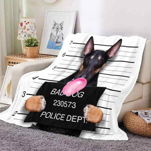 ѕz uPbg hbO ԕ d   g h 3Dvg fW^ \t@Jo[ X[Pbg rO  |GXe tl EHbVu lp XNGA