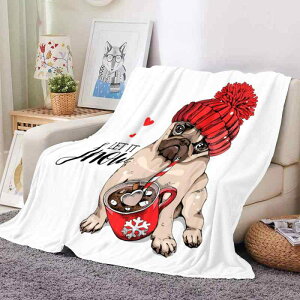 uPbg _uC[  3D fW^vg V[yC \t@Jo[ X[Pbg ` |GXe tl  ӂӂ 􂦂  CeA G|