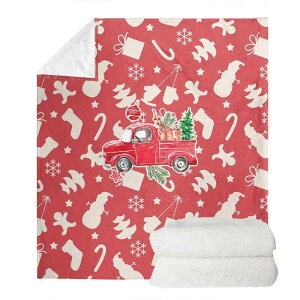 ѕz NX}X vg fUCLx rO \t@Jo[ Ђ| Qp |GXe tl g G 150x200cm Fɂ I[V[Y