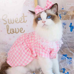 ybg Lp 킢  [X s[X |GXe ϐgEFA RXv Ȃ肫