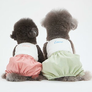 hbOEFA  `FbN p[X I[C Ȃ ȍa sN CgO[ JWA  ig U 