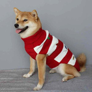 p Z[^[ NX}X zf[ Ԕ{[_[ ΃{[_[ XgCv  |GXe hbOEFA ~ h g  U p[eB[ Cxg JWA