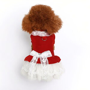  L vZXhX s[X xxbg xA Cbh { [Xt tH[} p[eB[ a ߂ Cxg LO 킢  i ybgEF