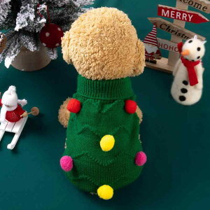 hbOEFA ^ q Lp NX}X jbg Z[^[ ۉ h  t 킢  ю EF[u ʏ gCv[h ` U  Cxg