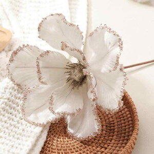 NX}Xt[ 25cm  Cbh Ob^[ LL ؂₩  tFCN  z NX}X p[eB[ Cxg fR[V I[ig