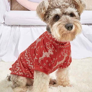 Lpq NX}X ̌ 킢 K |GXe H ~p bh  h  ig U hbOEFA LbgEFA ybgEFA