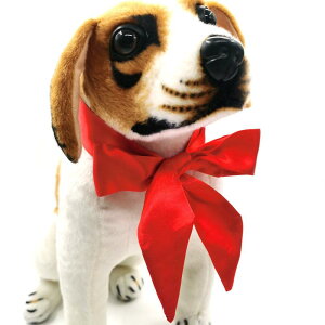 ybgp ԐF אg XJ[t NX}X Cxg ANZT[ { o_i   |GXe n ^ L JWA U ʐ^Be pr I[V[Y