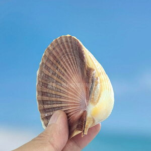 Lk VR L L n[g^ ^ Jbv yA l LO a o^C 蕨 Mtg CeA u IuWF i` VF  TS