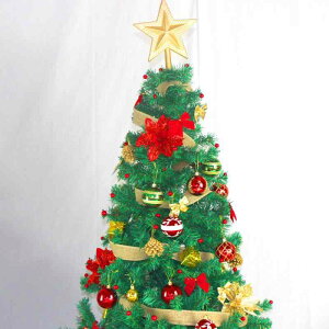 NX}XI[ig vX`bN 6cm 24Zbg {[ Jt hς NX}Xc[ fR[V Cxg p[eB[ fBXvCp