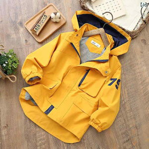 AE^[ j̎q {[CY tH  t[ht WbvAbv WPbg EChu[J[ u] JWA fC[[X |GXe y  w w ʊw H CG