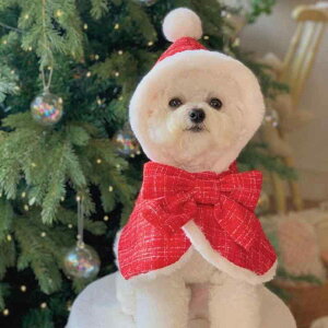 ybg jp p NX}X P[v }g {A t[ht rbgt@[ ӂӂ RR  h  bh O[ }`[Y ^p RX`[