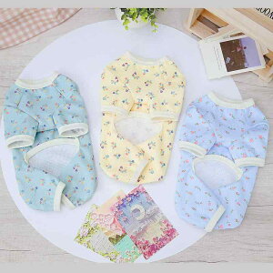 ybgEFA  y  Rbg btn ԕ t[ [EFA  pW} QԒ 킢 ^ ^ efB  L O[ CG[ XJCu[