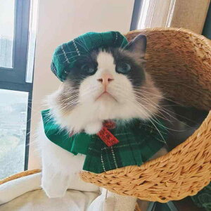 ybgpi Lp p NX}X Cxg p[eB[ px[X  X^C Zbg ueBbV  킢 RXv  LOBe ANZT[ |GXe bh 