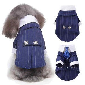 ybg Lp ^ Lp amX[c ^LV[h  畞 nEB NX}X p[eB[  Cxg o tH[}EFA Rbg ȑf ubN   Xg