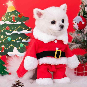 ybgp NX}X  ϐg  L 킢 hbOEFA LbgEFA Cxg LOBe }g P[v p RX`[   ߑ |GXe ^ ^ ef