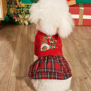 ybg NX}X T^ s[X  L efB R[M[ ^ ^p hbOEFA LbgEFA vZX vg ߑ hX Cxg p[eB[ 킢 