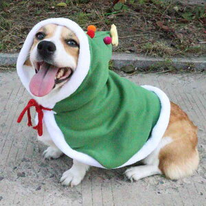 ybg ^p NX}X Cxg p[eB[ RXv  ϐg R[M[ t`uhbO ` gCv[h _bNXth NX}Xc[ }g |` P[v |