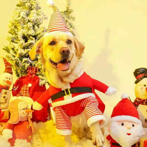 ybgpp[J[ Lp ^ ^ ^ NX}X Ⴞ RX`[ ϑ j[NfUC H~ |GXe ĕ