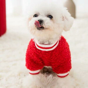 ybgEFA L  ^ qL q NX}X  H ~ N t[X XEFbg p[J[ |GXe bh JWA 킢 h  U 