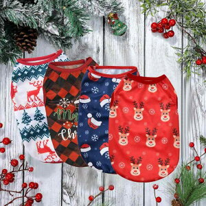 ybg  L NX}X giJC vg  xXg m[X[u ^Ngbv t ʋC UVJbg  U o ig hbOEFA LbgEFA |GXe