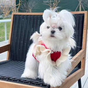 jbgs[X Lp hbOEFA LbgEFA H~ NX}X  ^ ^ q qL 킢 L[g  vZXhX Pn ю ё΍ їh~ 