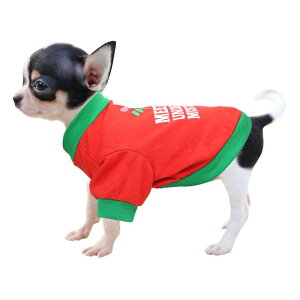  ybg ^ q gCv[h R[M[ TVc gbvX Rbg   tďH NX}X ig U JWA  킢 ubN  ԕ J{`