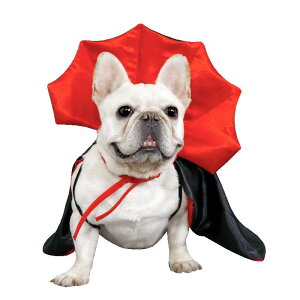 ybgpRX`[ p nEB NX}X }g Xq ϐg  hbOEFA Zbg |GXe 킢 ԍ  