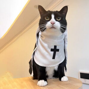 ybgRXv L p VX^[ C Ȃ肫 ϐg nEB  Cxg p[eB[ ߑ ʐ^Be  킢 j[N ڗ  ^L