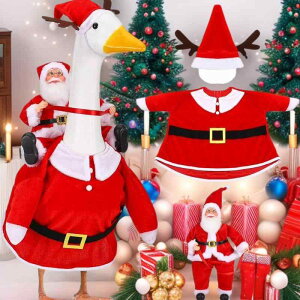 K`EupRX`[ T^N[X RfUC NX}X fR[V t ߑZbg   |GXe  t[X 23C`