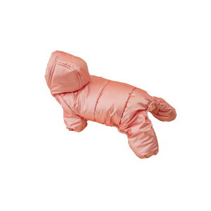  ~p h h  _EWPbg ȓ lȂ gCv[h R[M[ t`uhbO ^ ^ U  Vo[ sN