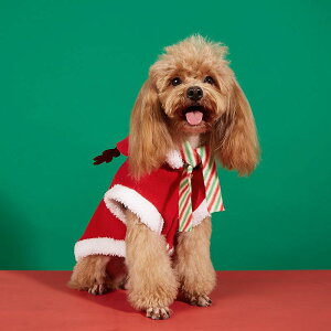 ybg  L ^ ^ ~p bh t[Xf  ۉ giJC P[v }g NX}X RX`[  Cxg p[eB[ }t[t JWA EFA