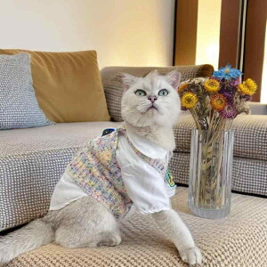 ybg Lp NX}X jbgZ[^[ X^C юEFA [NV[eA |jA t`uhbO ViEU[ 킢  x[W IW sN p[