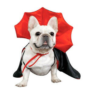 ybg nEB NX}X }g REfUC ϐgRX`[ L p I 낢 ߑ ^ ^ ^  EFA |GXe