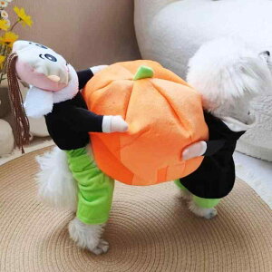  nEB NX}X efB gCv[h ^p 񑫕s J{` ʔ 킢 ϐgRX`[  ߑ ybgEFA Cxg p[eB[ LOBe