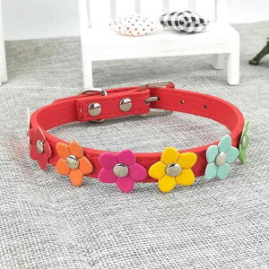  [h  q gCv[h L qL ԕ t  킢 U o PUU[ J[ [v UR bh sN u[