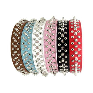  Lp p PUU[ ی^X^bY pNbN N[ X^CbV ݕȑ΍ v ϋv y U o ig ybgpi sN uE ubN bh lCr[ 