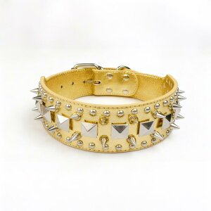  ^ ^p hbOJ[ {v U[ e X^bY ݂h~ pN bNeCXg   U g[jO S[h Vo[ ubN