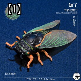 昆虫 フィギュア おもちゃ 模型 小学生 男の子 子供 ホビー カブトムシ 動物 セミ テントウムシ