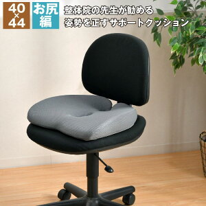 �N�b�V���� ���K �p���𐳂� �T�|�[�g�N�b�V���� 40×44cm ���K�x�� ���̉@�搶�ďC �p�������� ���K ���S�y�� ���z�ȍ��p�� �E���^���t�H�[�� ���荘���� ���g�ݍ��� ���P �̈����U �܂�����