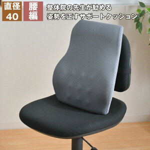 NbV  p𐳂 T|[gNbV 46×38cm Kx ̉@搶ďC p tBbg Sy zȍp E^tH[  Lw P ̈U ܂