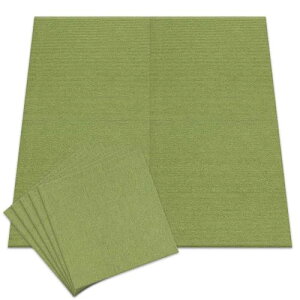 20�Z�b�g�A�C���X�v���U �^�C���J�[�y�b�g �O���[�� 50×50cm TKP-PP50