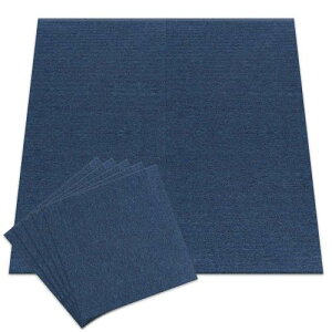 20�Z�b�g�A�C���X�v���U �^�C���J�[�y�b�g �l�C�r�[ 50×50cm TKP-PP50