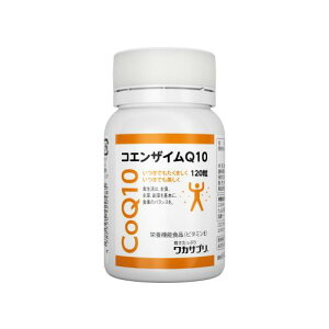 ���J�T�v�� �R�G���U�C��Q10 120�� 1���ێ�ڈ���100mg��2���� �g�̂ւ̋z������ǋ� �T�v�������g